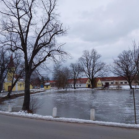 Ubytovani U Dvoraku Veselí nad Lužnicí Екстериор снимка
